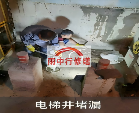 丽江星雨华府电梯井堵漏案例
